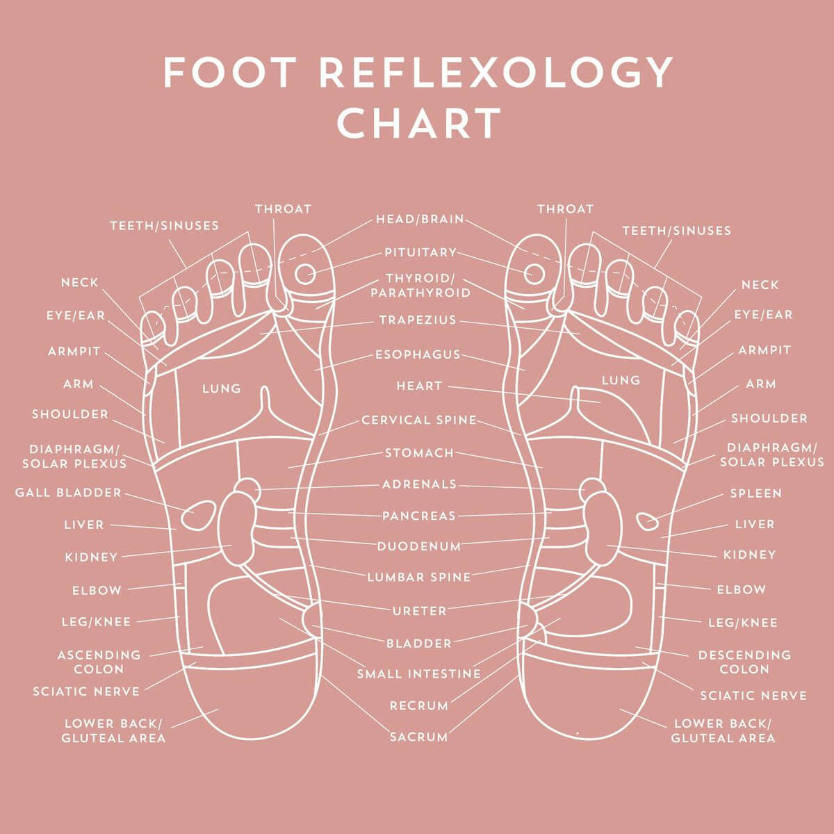 Reflexology Massage Sandals 