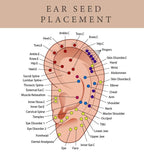 600 Waterproof Ear Seeds (10 Sheets)