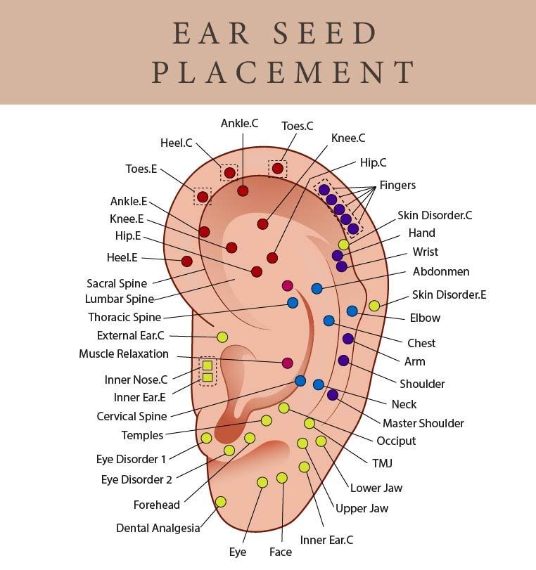 600 Waterproof Ear Seeds (10 Sheets)